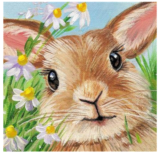 35X35CM - Rabbit DIY 5D Full Diamond Painting NO Frame