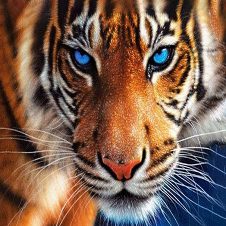 30x40CM  tiger 5D Full Diamond Painting DIY Pictures  NO FRAME