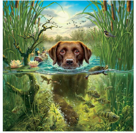 30x30CM-DOG - DIY 5D full Diamond Painting NO FRAMED A452