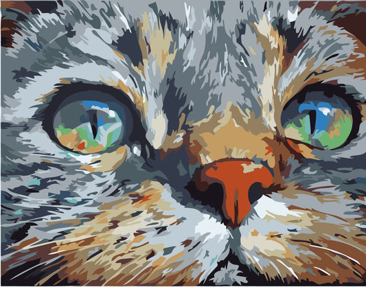 40X50CM Cat DIY Oil Painting By Numbers No Frame