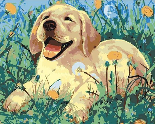 Dog No Framed DIY Oil Painting By Numbers 40*50CM