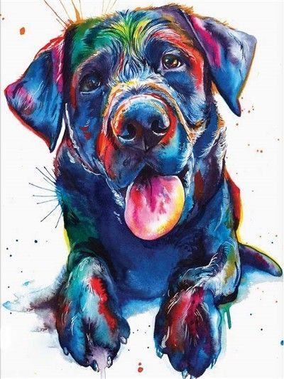 Dog No Framed DIY Oil Painting By Numbers 40*50CM