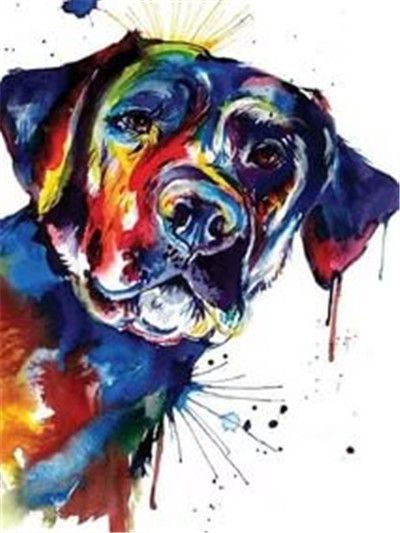 Dog No Framed DIY Oil Painting By Numbers 40*50CM