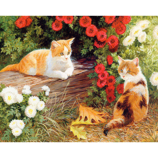 40X50CM Cat DIY Oil Painting By Numbers No Frame