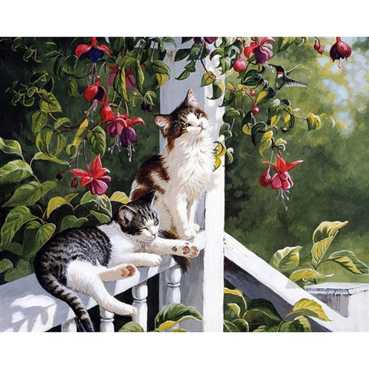 40X50CM Cat DIY Oil Painting By Numbers No Frame