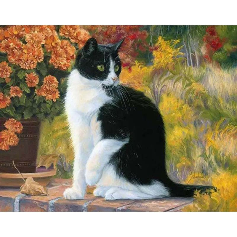 40X50CM Cat DIY Oil Painting By Numbers No Frame