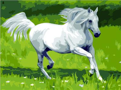 Horse No Framed DIY Oil Painting By Numbers Canvas Wall Art For Living Room Home Decor 40*50CM