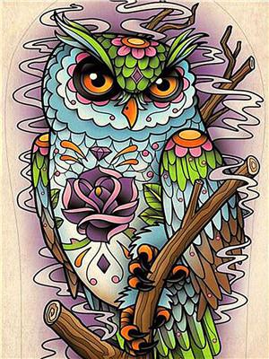 owl No Framed DIY Oil Painting By Numbers Canvas Wall Art For Living Room Home Decor 40*50CM