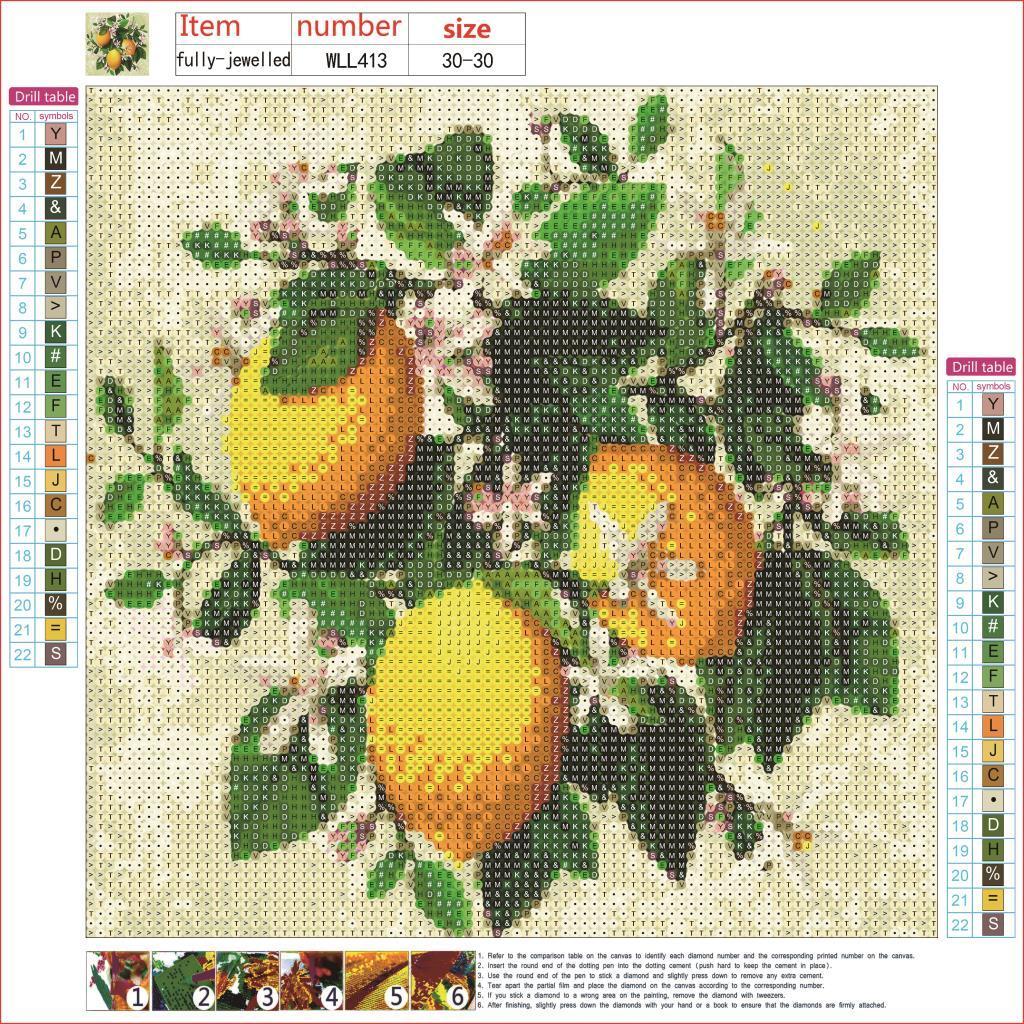 30X30CM-Lemon-Home Decoration DIY 5D full Diamond Painting WLL413